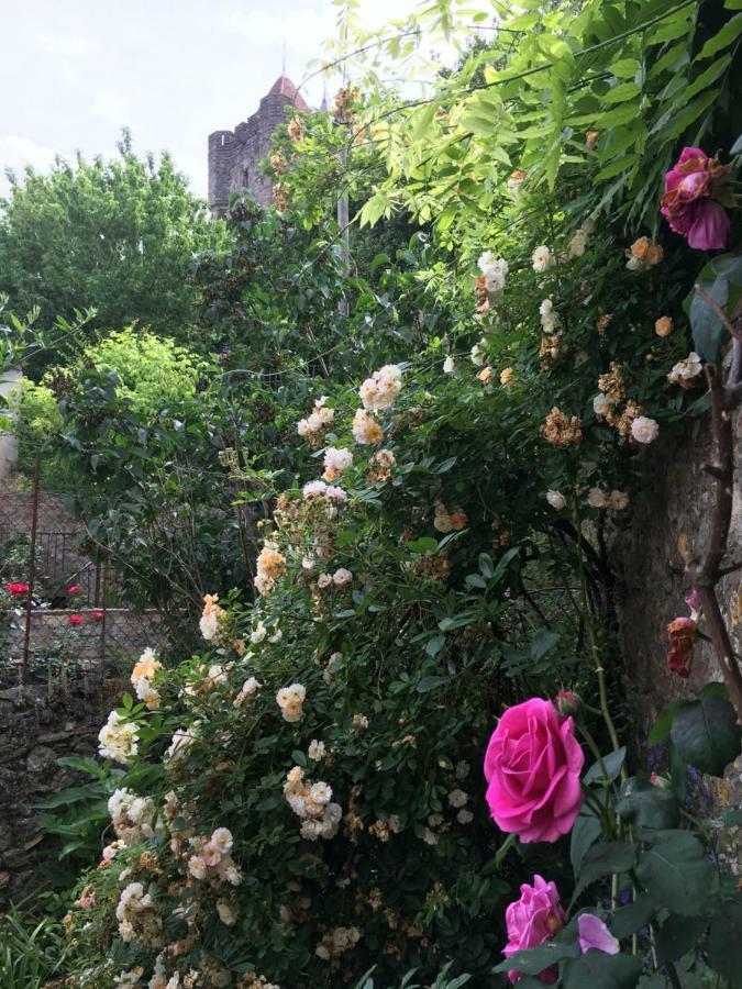Cote Remparts Villa Carcassonne Buitenkant foto
